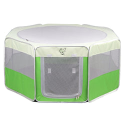 Baby Chicks: Jubilee Orpington