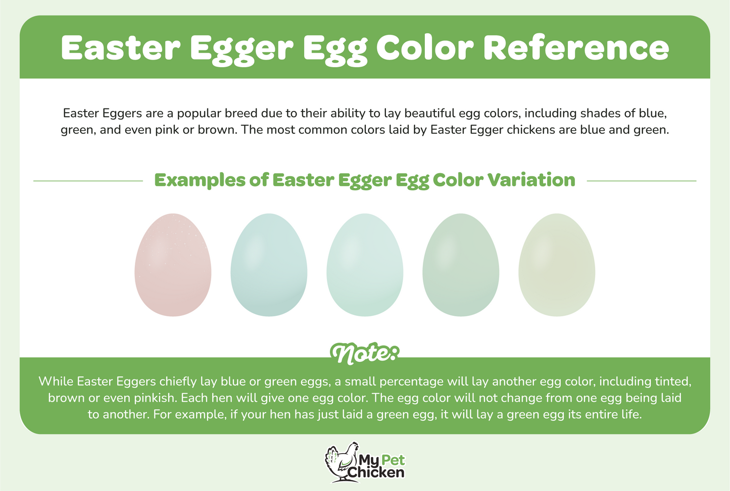 Hatching Eggs: Easter Egger Assortment, Hen Haven Location