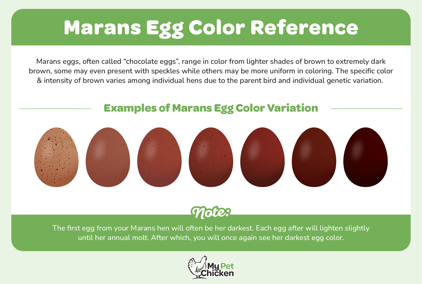 Hatching Eggs: Black Copper Marans, Hen Haven Location