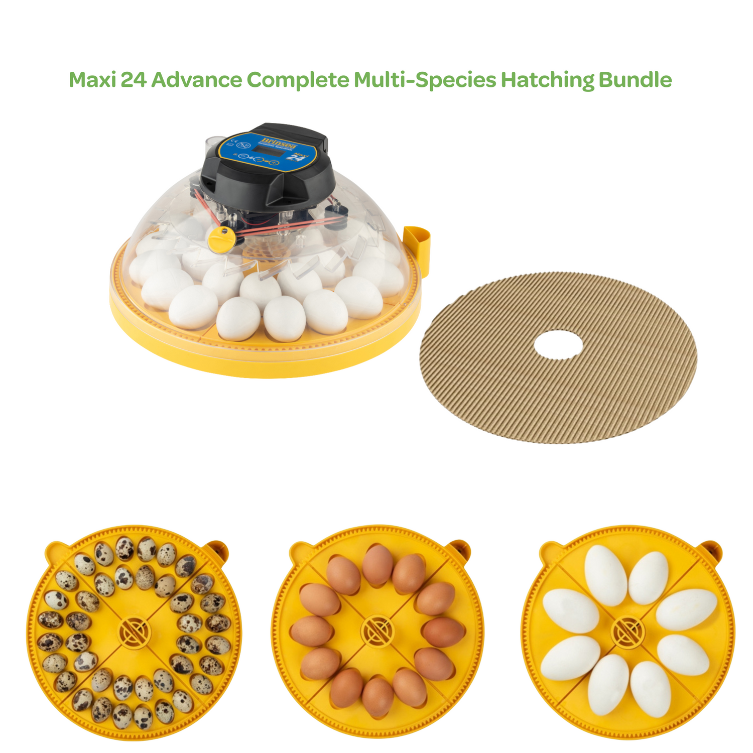 Maxi 24 Advance Complete Multi-Species Hatching Bundle