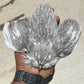 Hatching Eggs: Celadon "True Blue" Quail, Azure Acres Location