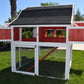 Omaha Chicken Coop (4-6 chickens)