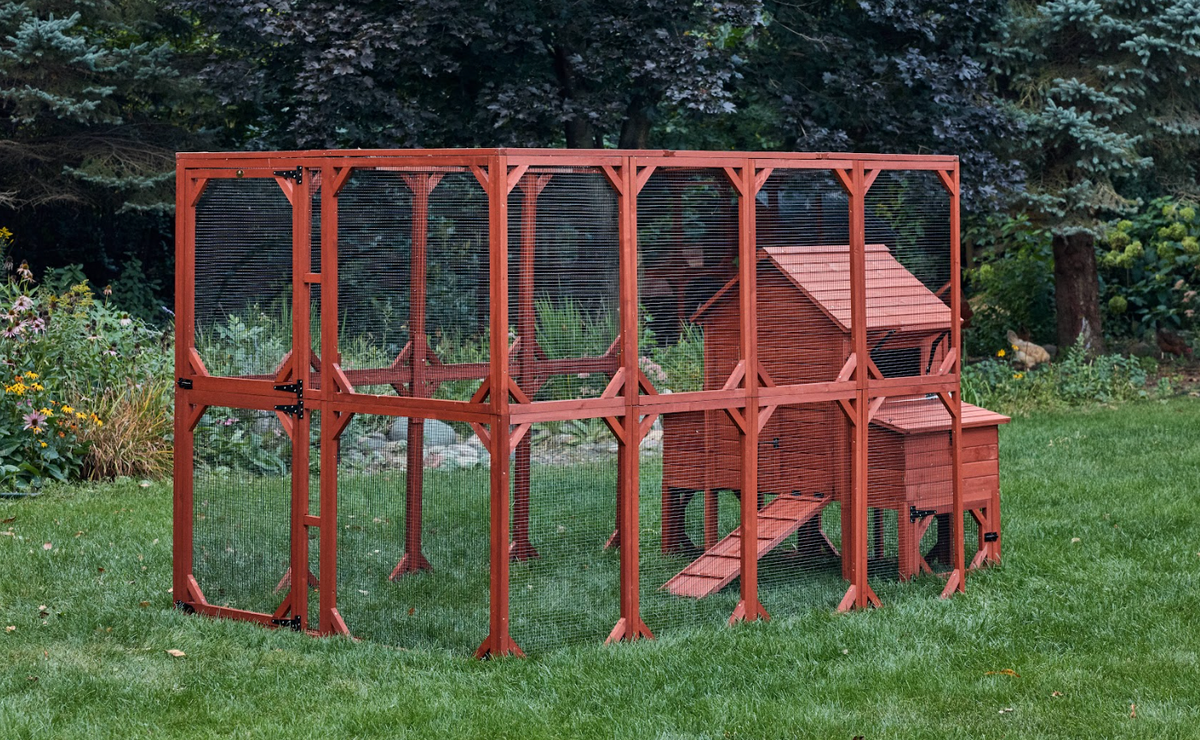 Orpington Lodge Chicken Coop + Optional Run (4-6 chickens)