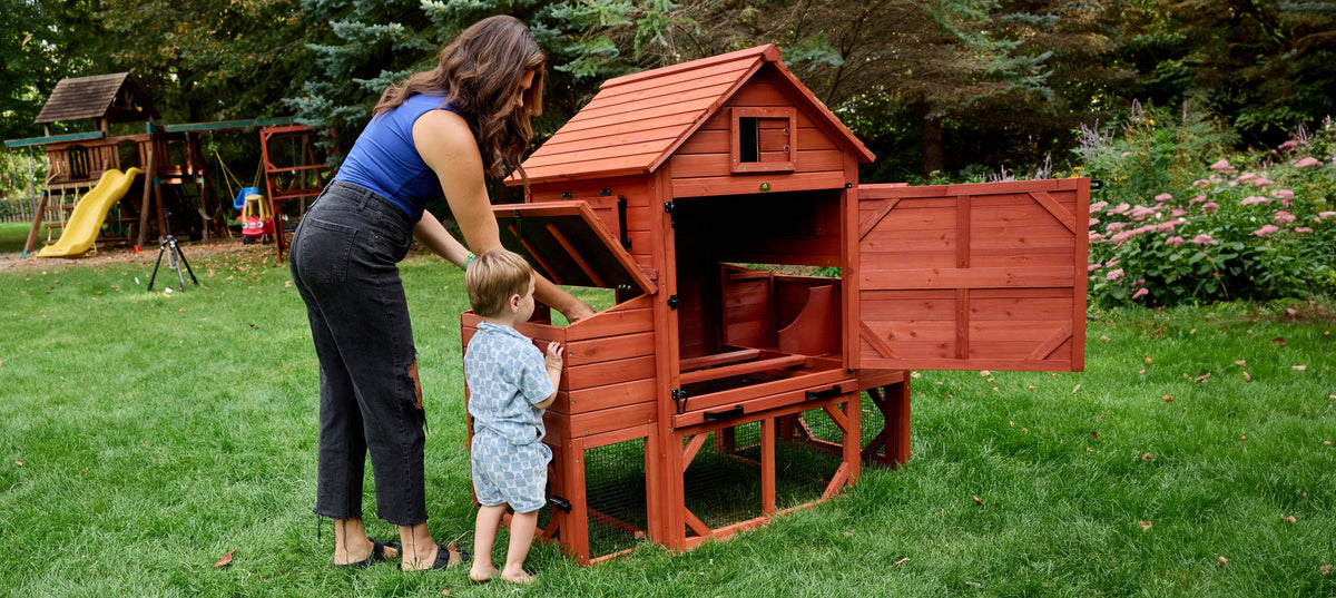 Orpington Lodge Chicken Coop + Optional Run (4-6 chickens)