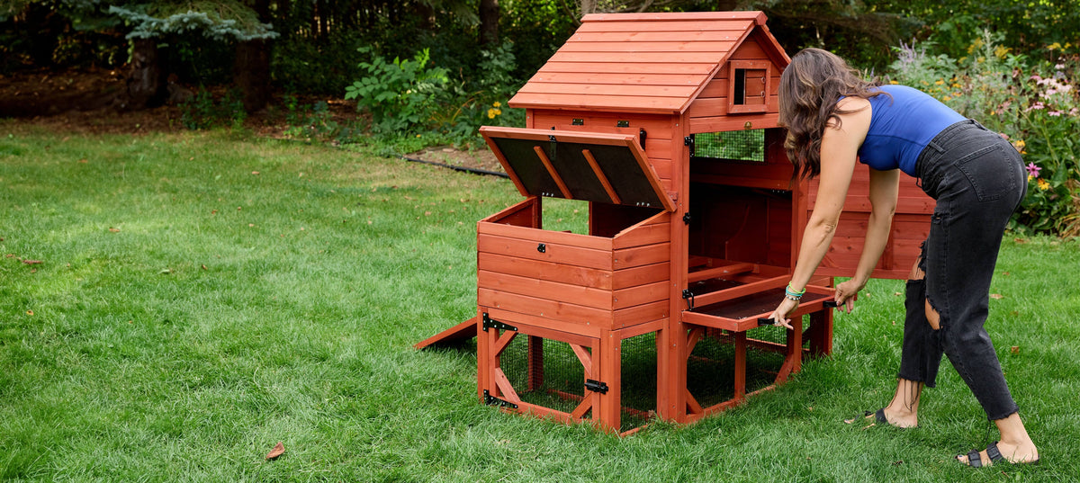Orpington Lodge Chicken Coop + Optional Run (4-6 chickens)