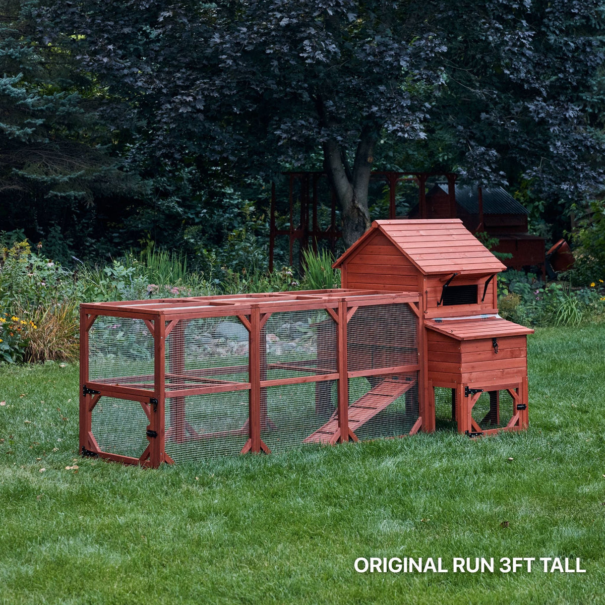 Orpington Lodge Chicken Coop + Optional Run (4-6 chickens)