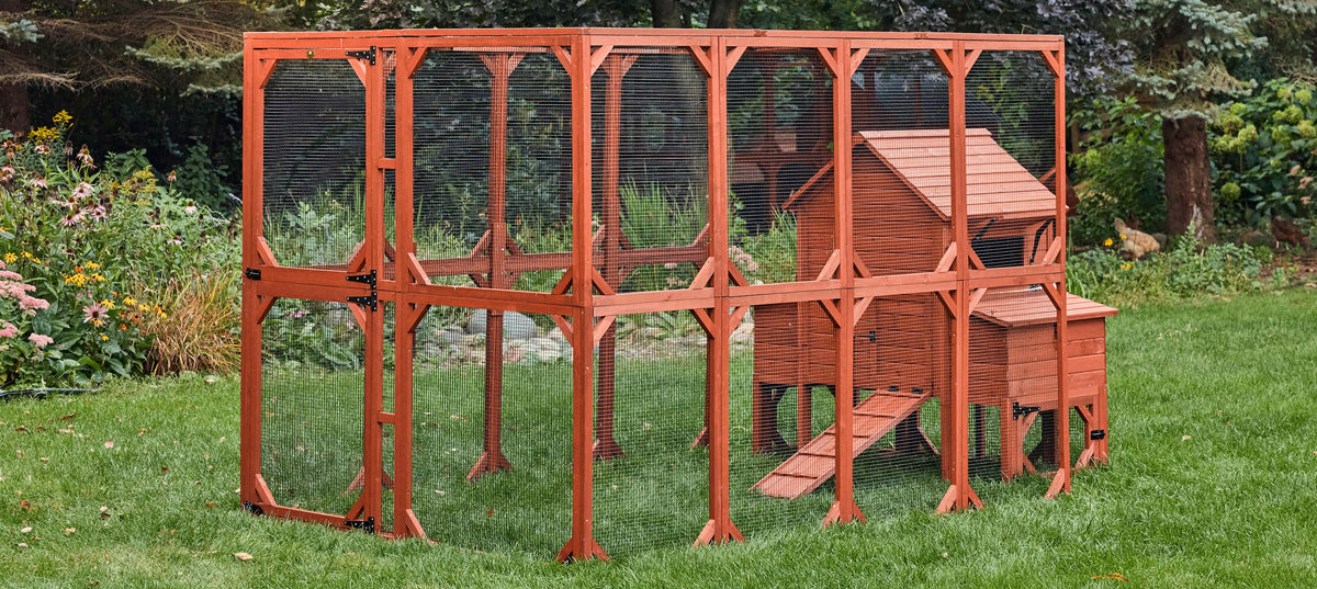 Orpington Lodge Chicken Coop + Optional Run (4-6 chickens)