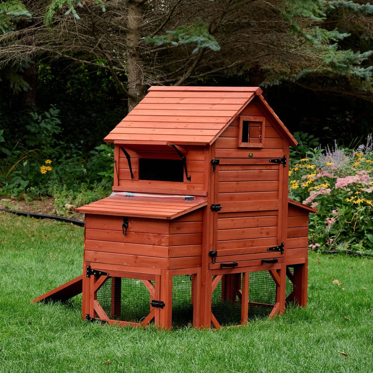 Orpington Lodge Chicken Coop + Optional Run (4-6 chickens)