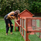 Orpington Lodge Chicken Coop + Optional Run (4-6 chickens)