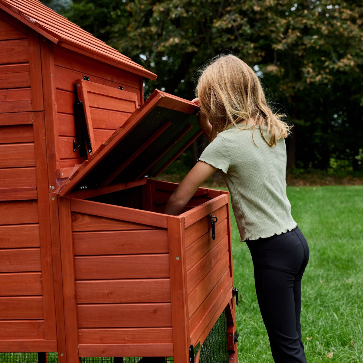 Orpington Lodge Chicken Coop + Optional Run (4-6 chickens)