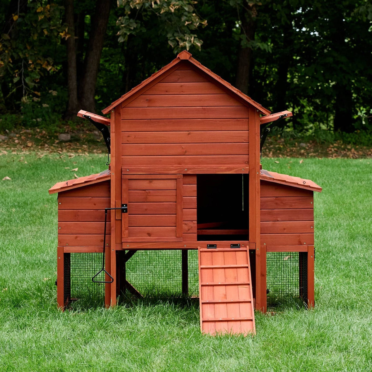 Orpington Lodge Chicken Coop + Optional Run (4-6 chickens)