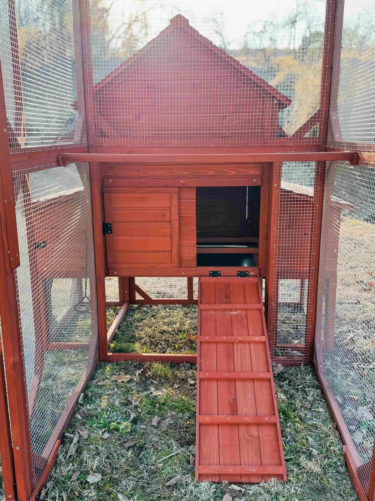 Orpington Lodge Chicken Coop + Optional Run (4-6 chickens)