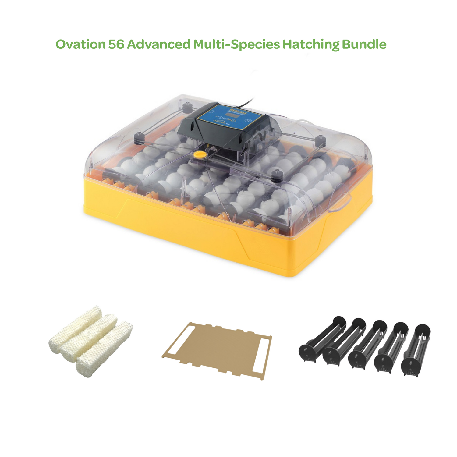 Ovation 56 Ex Multi-Species Hatching Bundle