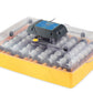 Ovation 56 Advance Digital Incubator (56 Eggs)