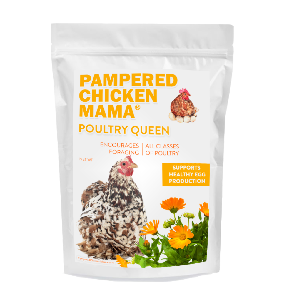 Poultry Queen Mealworm, Premium Corn, Flax Seeds, & Herb Treat For Pet Chickens