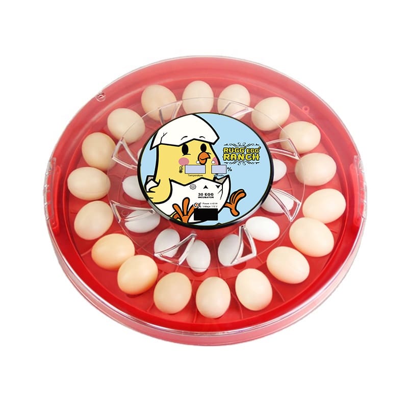 RUGG"egg" Ranch 30 Egg Incubator