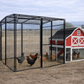Omaha Chicken Coop (4-6 chickens)