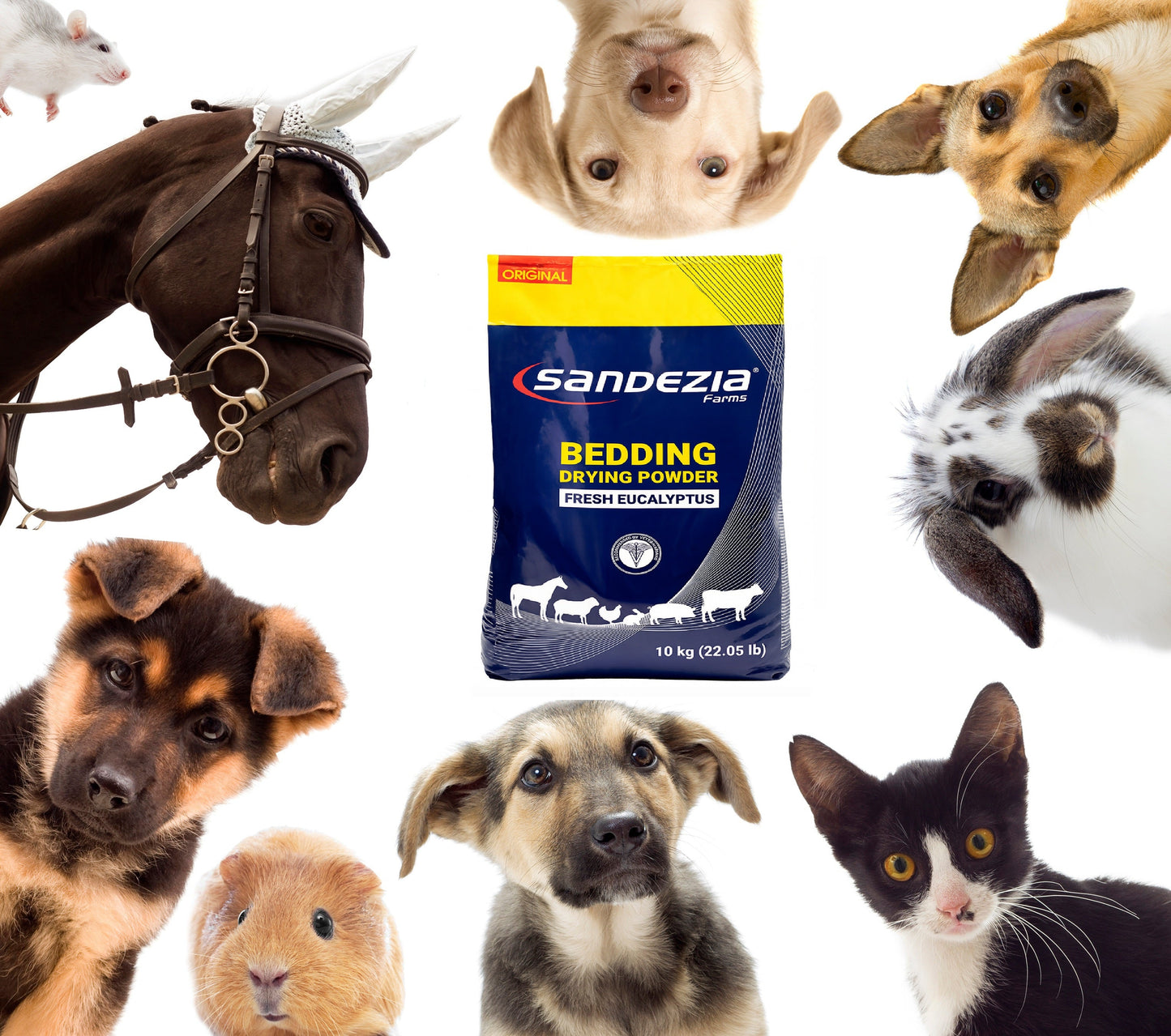 Sandezia Bedding Drying Powder - Odor Eliminator, Fresh Eucalyptus
