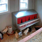 Easy Chicken Coop Plans 6x8 (Up to 20 Chickens)
