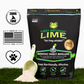 First Saturday Lime Buzz Off Bundle