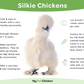 Silkie infographic