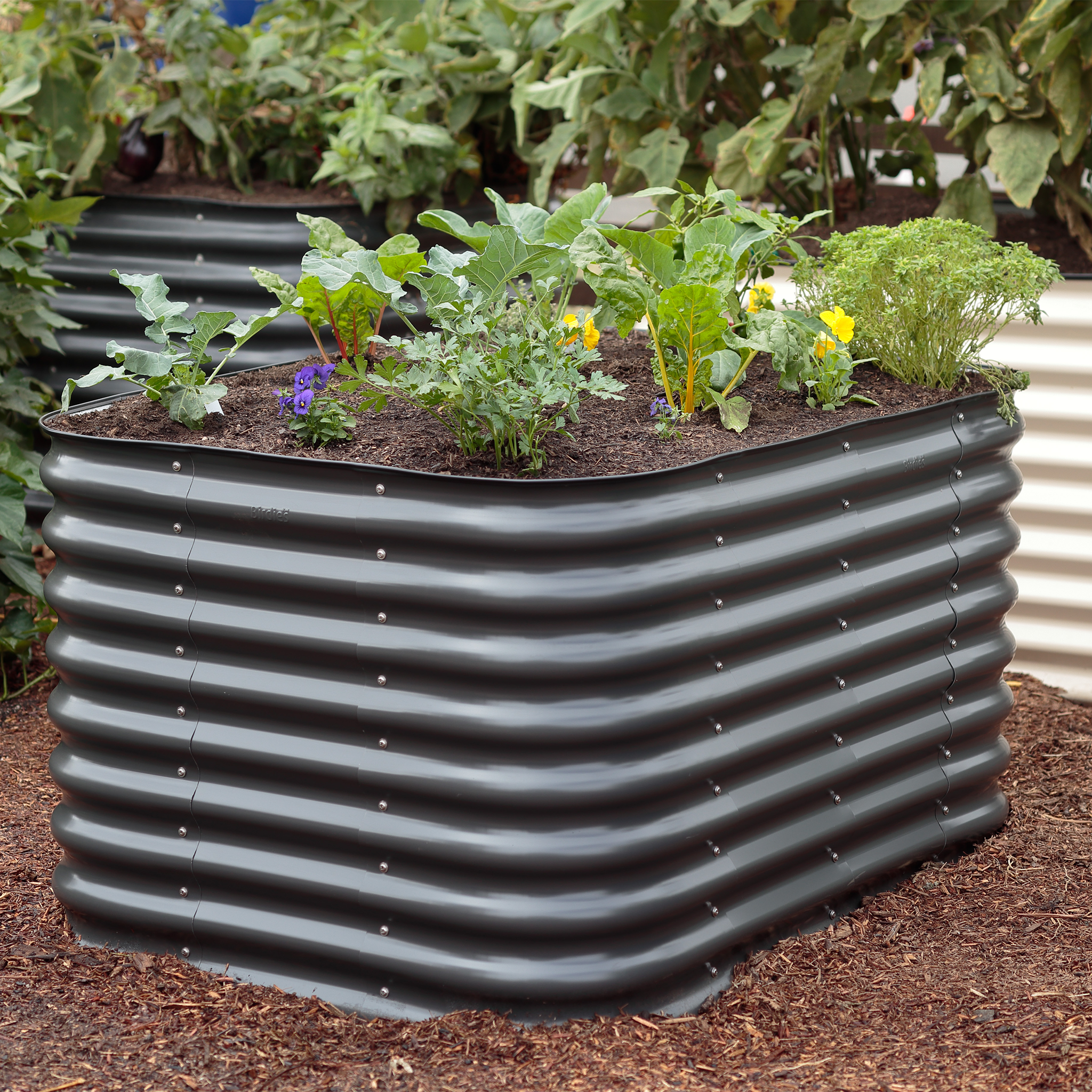 Birdies Raised Garden Bed - Thumbnail 5