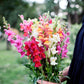 Freshly Cut Blooms - Seed Collection