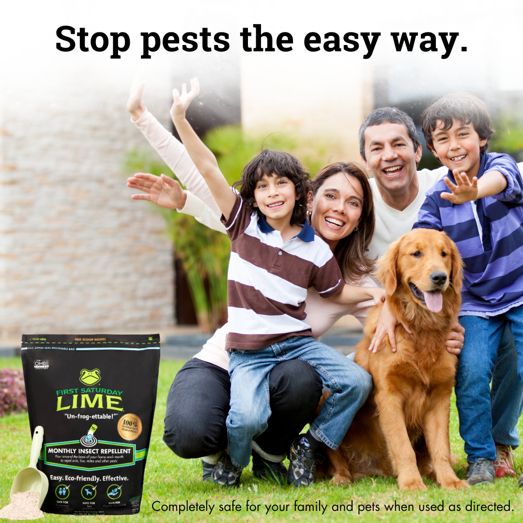 First Saturday Lime Buzz Off Bundle