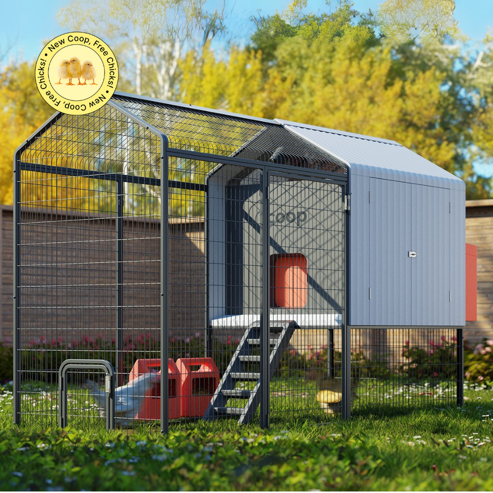 The Smart Coop Unlimited+ (4-6 chickens)