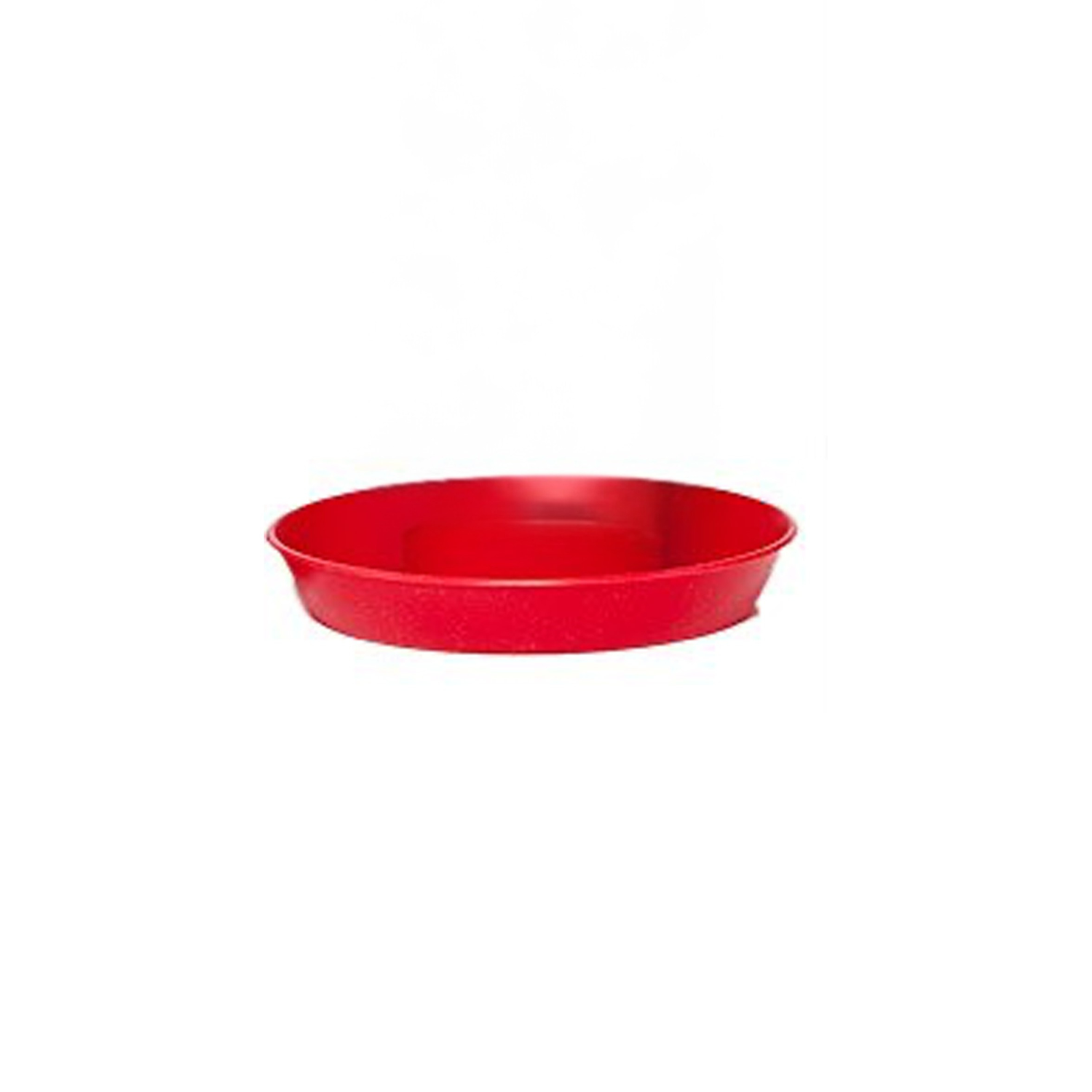 Base for Chick Waterer