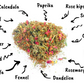 WormBGone Nesting Herbs For Pet Chickens