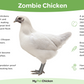 Pullet: Midnight Duo (2 Started Pullets), Shipping week of 08/31/2026