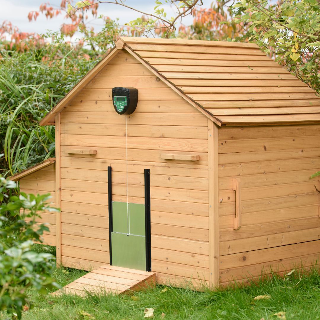 Brinsea ChickSafe Advanced Automatic Chicken Coop Door Opener and Door Kit