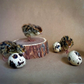 Hatching Eggs: Jumbo Coturnix Quail, Azure Acres Location