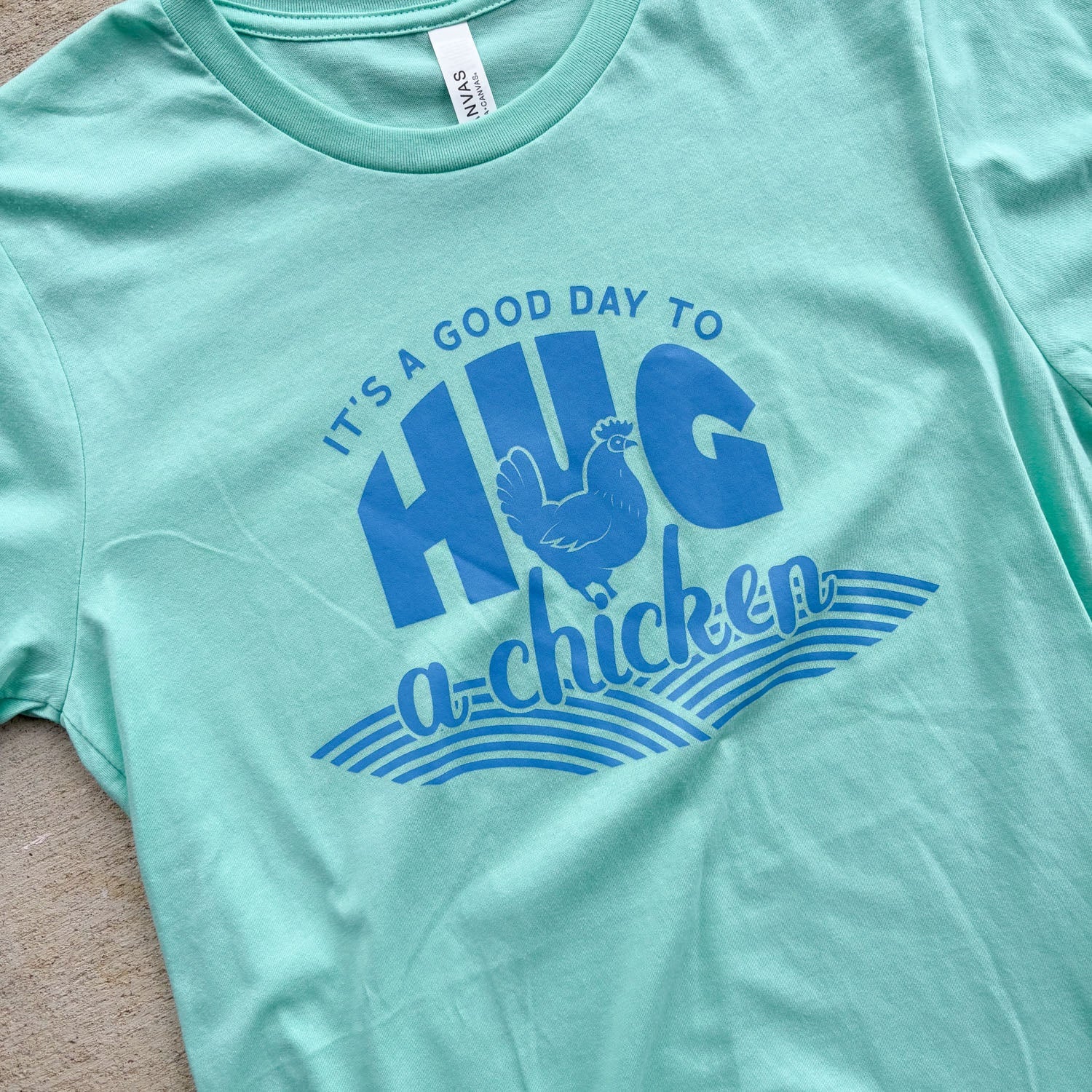 Hug A Chicken! T-Shirt