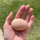 Hatching Eggs: Blue/Black/Splash Silver/Gold Partridge Brahma, Flock & Field Location