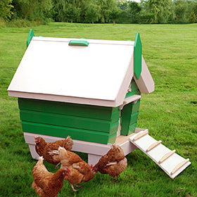Beach Hutchy Building Plans (Up to 4 chickens)