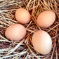 Bielefelder Eggs