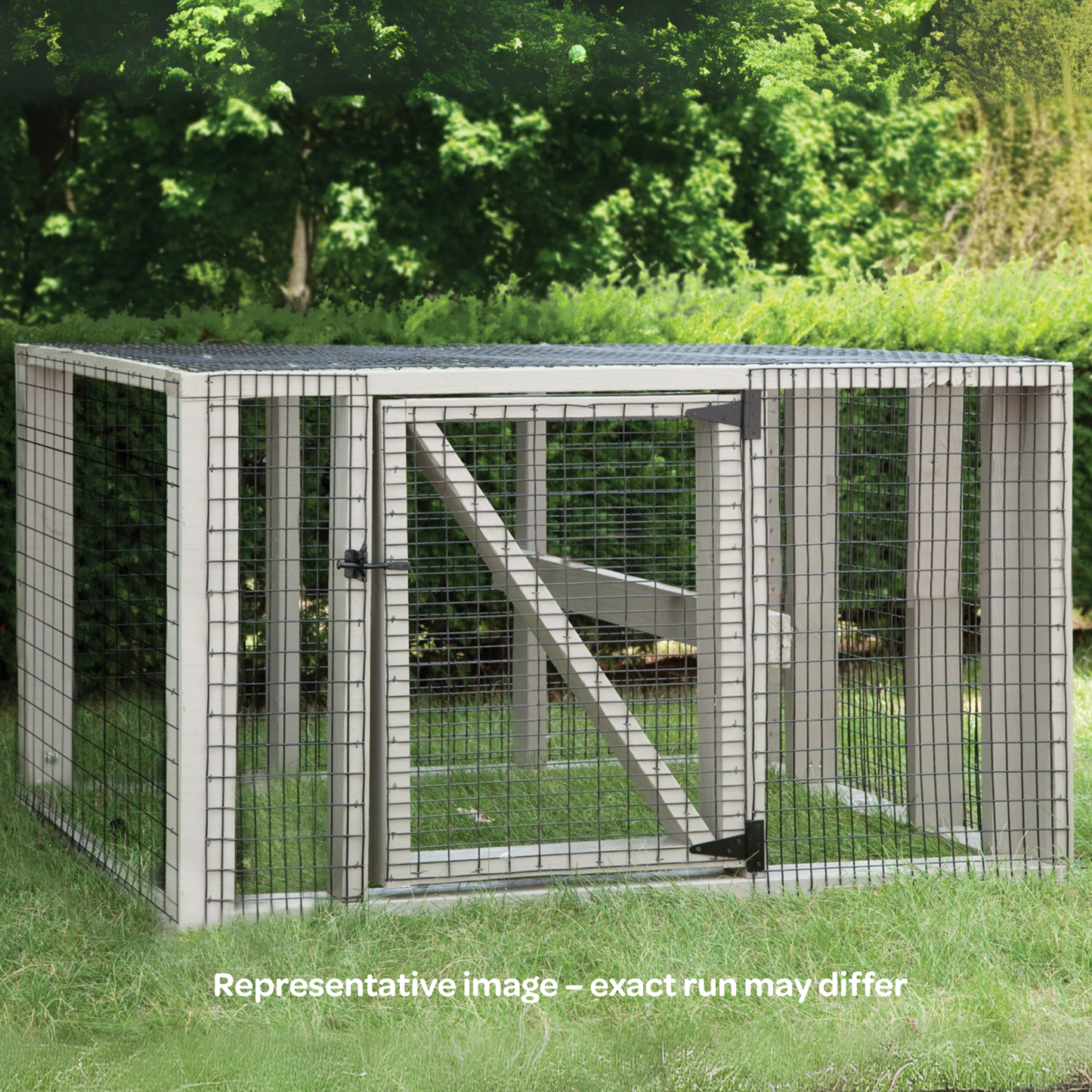 An outdoor chicken run with wire mesh is used to protect a backyard chicken flock from predators. 