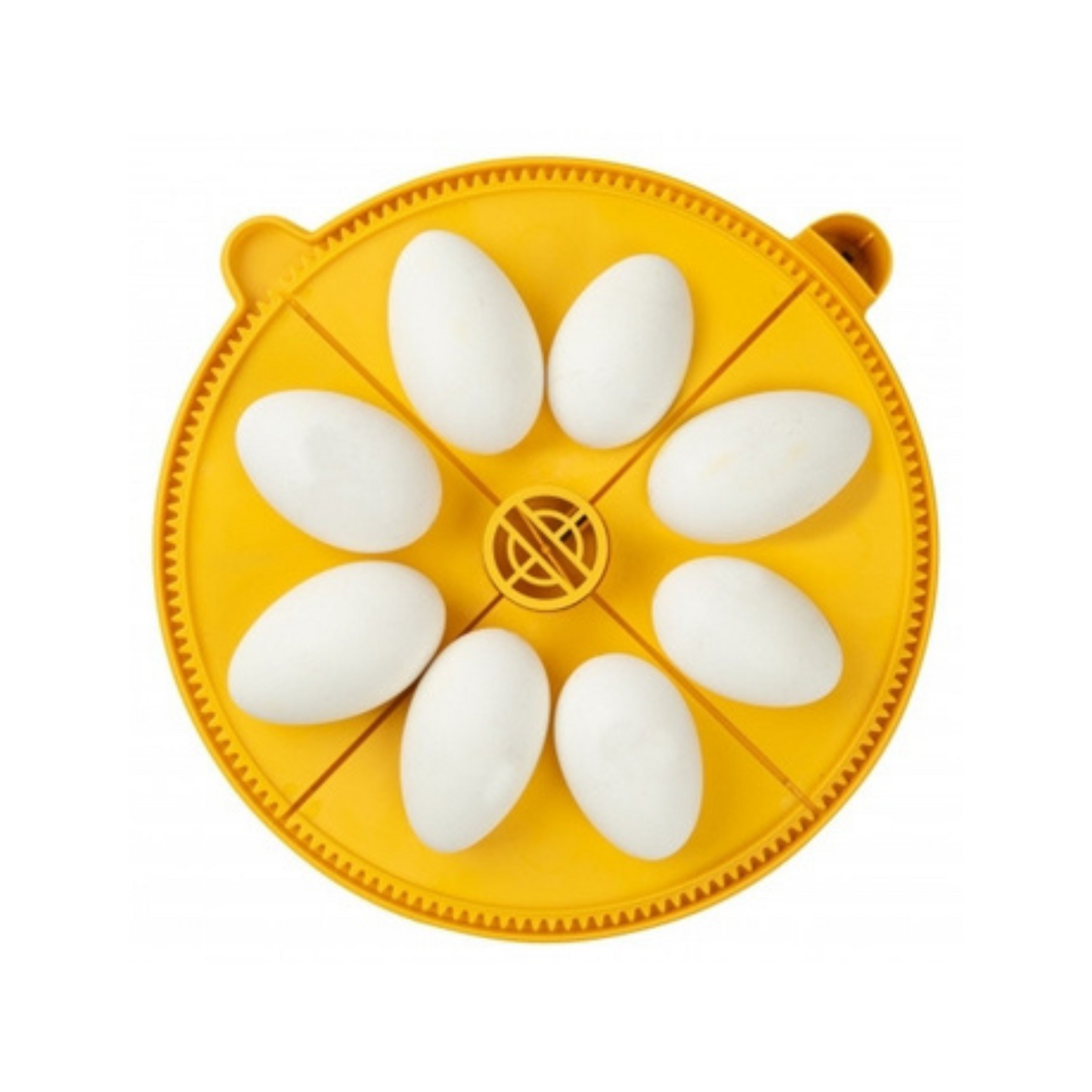 Brinsea Maxi Extra Large Egg Insert (8 goose eggs)