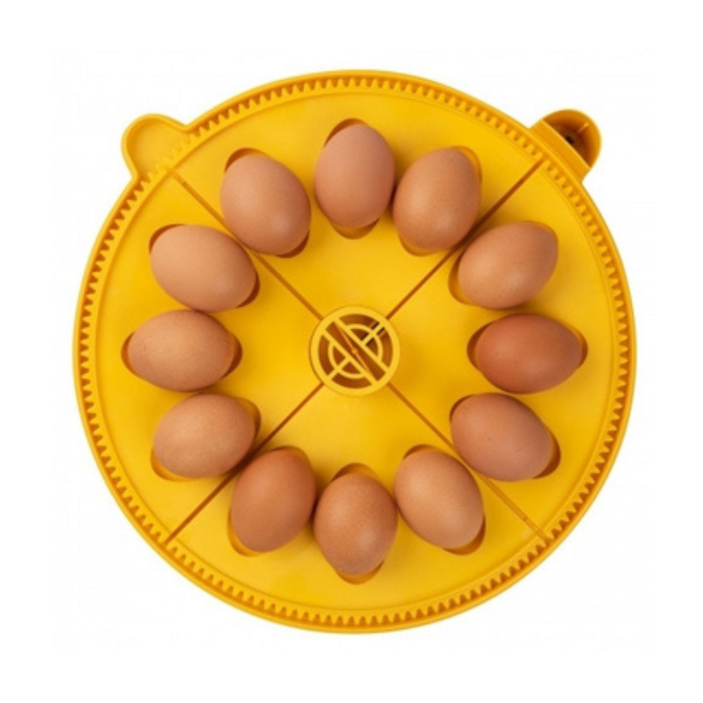 Brinsea Maxi Large Egg Insert (12 large hen/duck eggs)