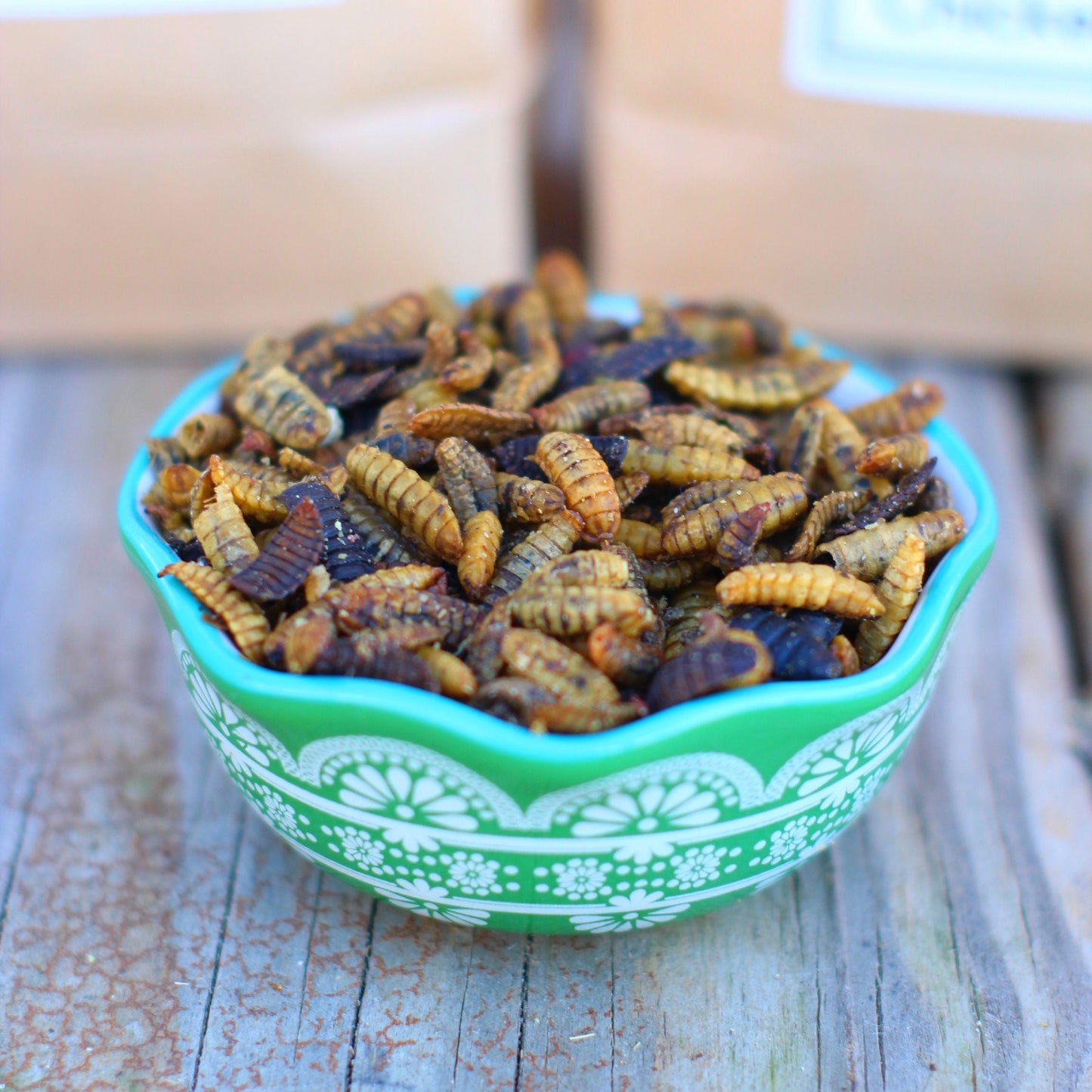 Black Soldier Fly Larvae (From NORTH AMERICA!!) -- LoveBugs For Hens (TM)