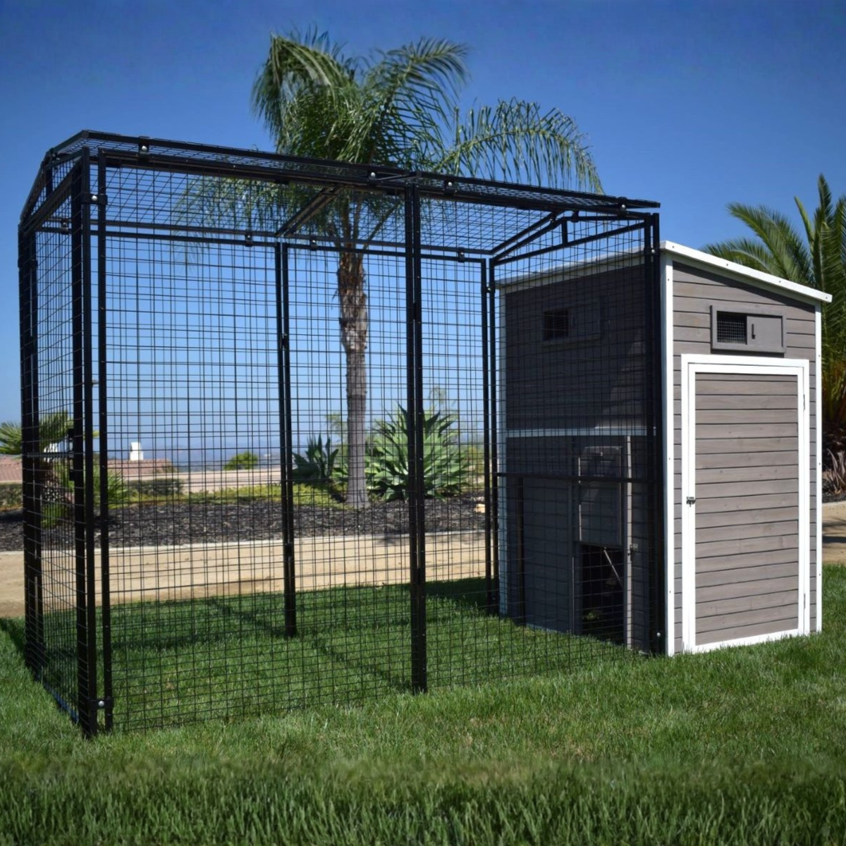 The Chalet Set (wire pen + wood coop) 2-4 chickens