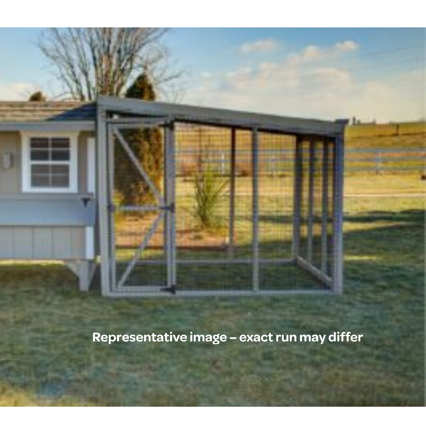 Outdoor chicken run with a roof to provide coverage for a backyard chicken flock. 