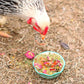 WormBGone Nesting Herbs For Pet Chickens