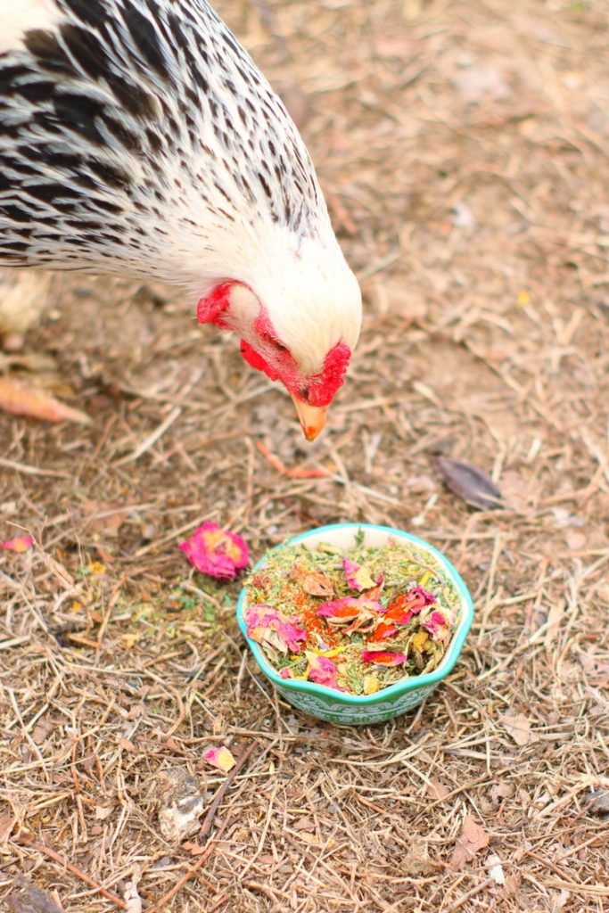 WormBGone Nesting Herbs For Pet Chickens