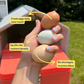 The Smart Coop Unlimited+ (4-6 chickens)