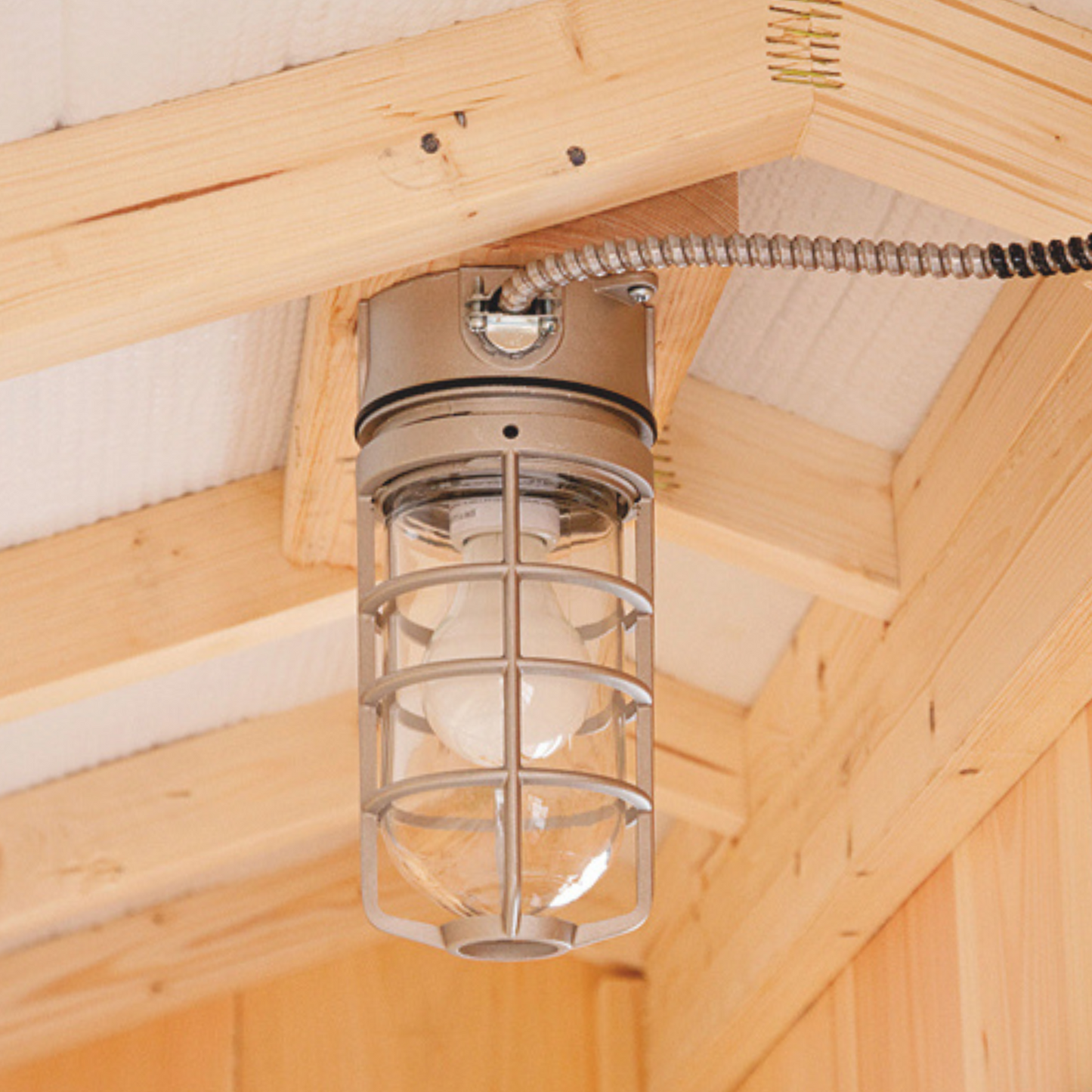 My Pet Chicken electrical package light chicken coop option.