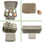 Half Dozen Flat Top Egg Cartons