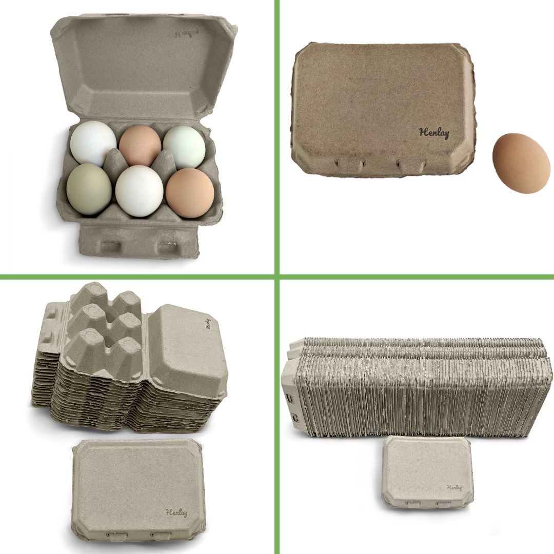 Half Dozen Egg Cartons - Henlay Blank Flat Top, Six Pack, 2 colors, 20 or  100 - Tan Egg Cartons / 20 Cartons
